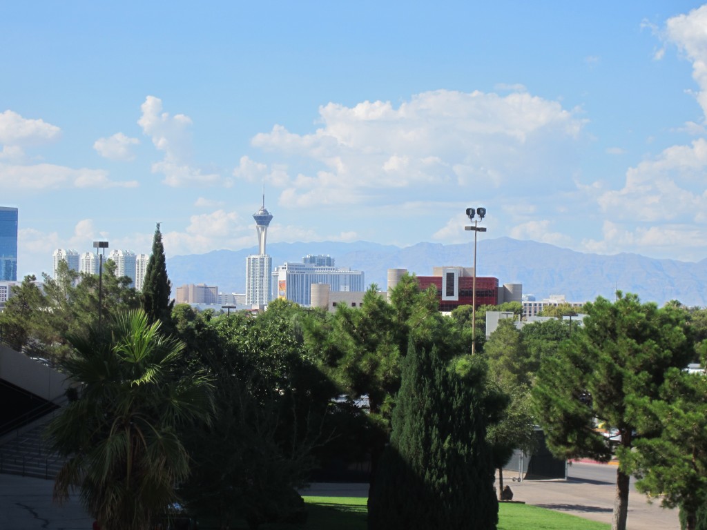 View from the steps of GA:  the city itself, with the Spring Mtns in the background